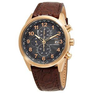 New Citizen Perpetual Radio Controlled Watch w/ box